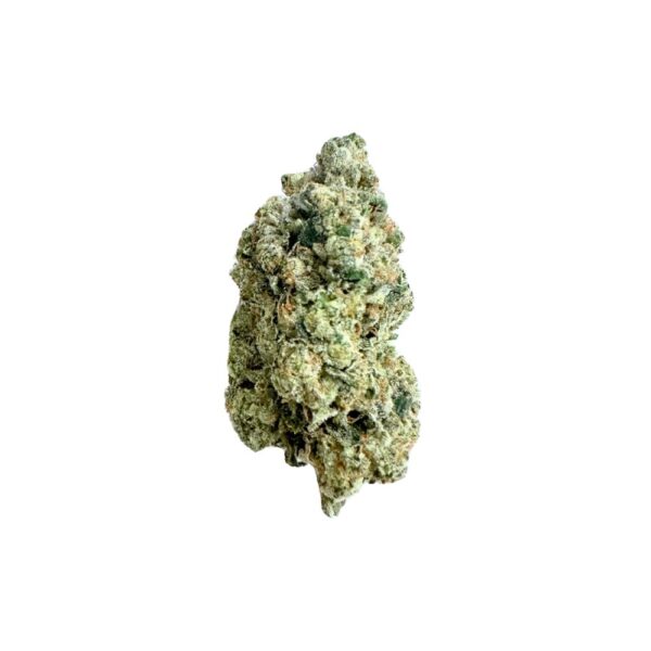 Gorilla Nut (RARE AAAA+)